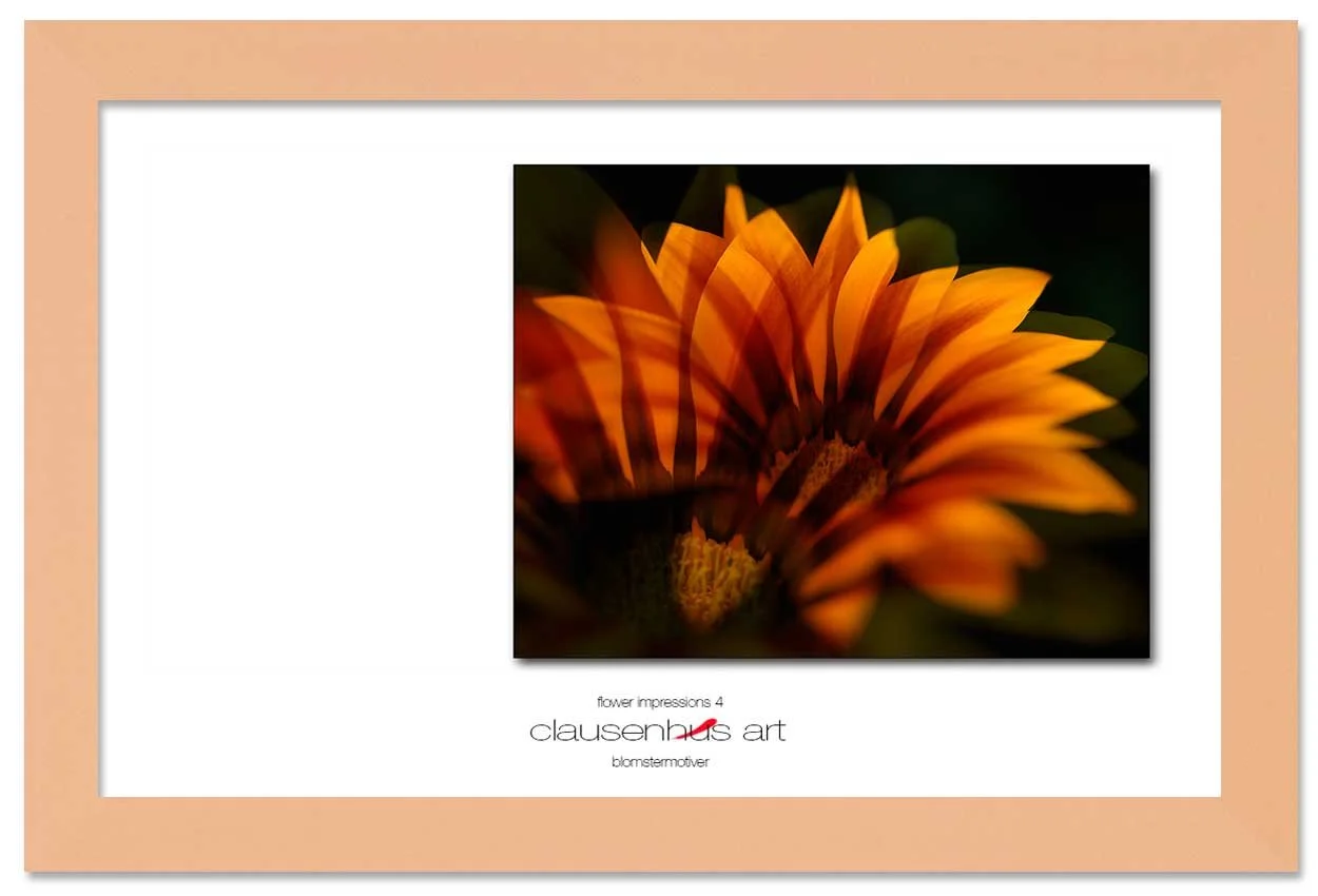 flower-impressions-4-copy.jpg