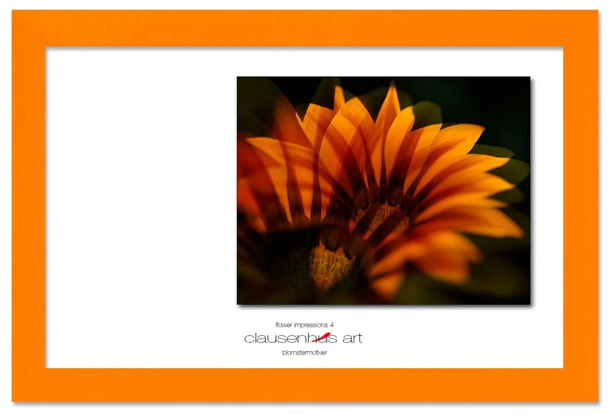 flower-impressions-4-copy.jpg
