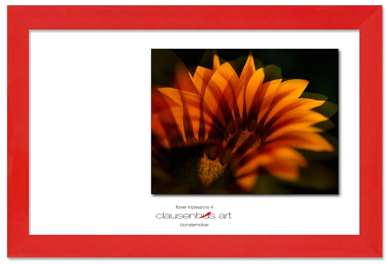 flower-impressions-4-copy.jpg
