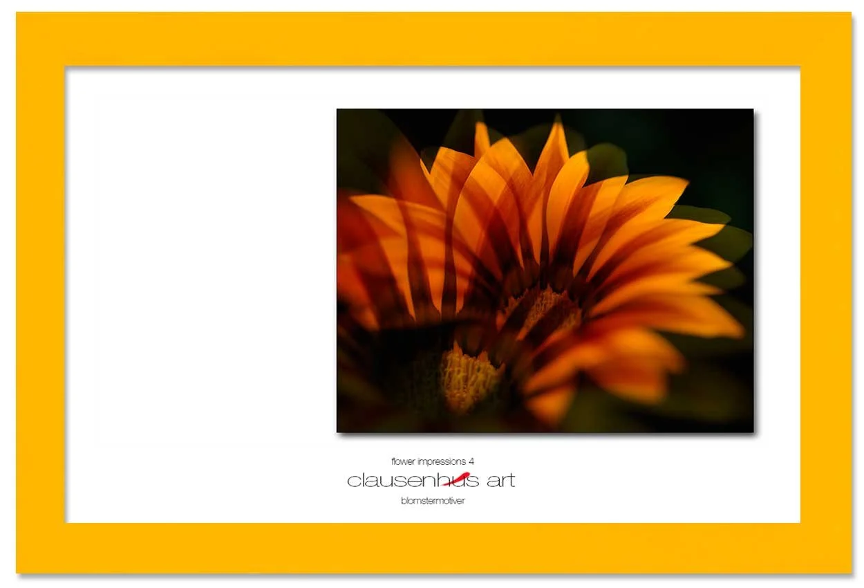 flower-impressions-4-copy.jpg