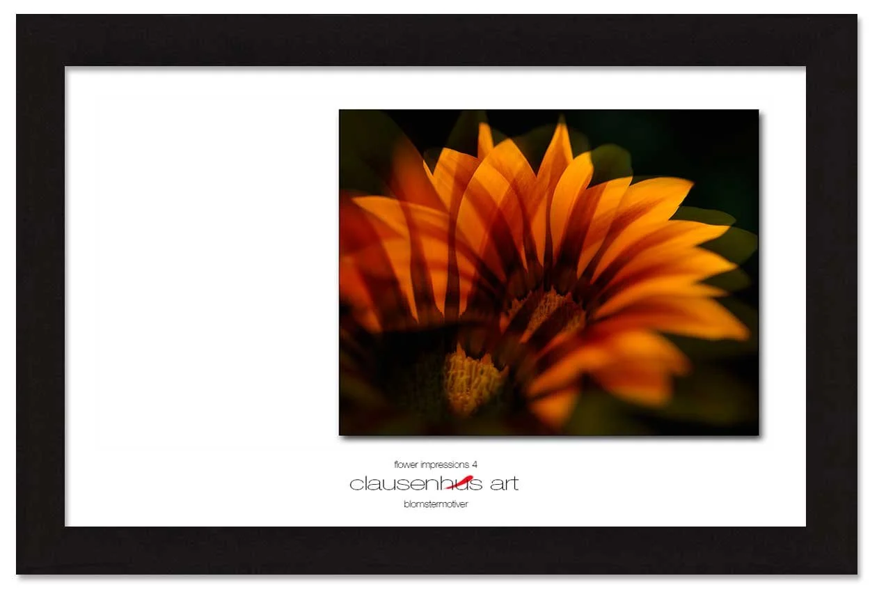 flower-impressions-4-copy.jpg