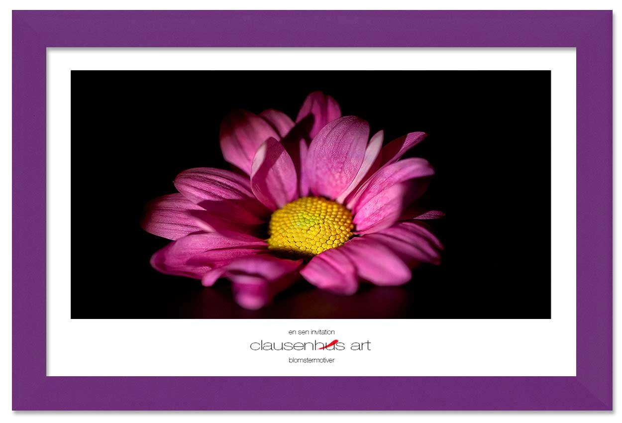 en-sen-invitation-copy.jpg