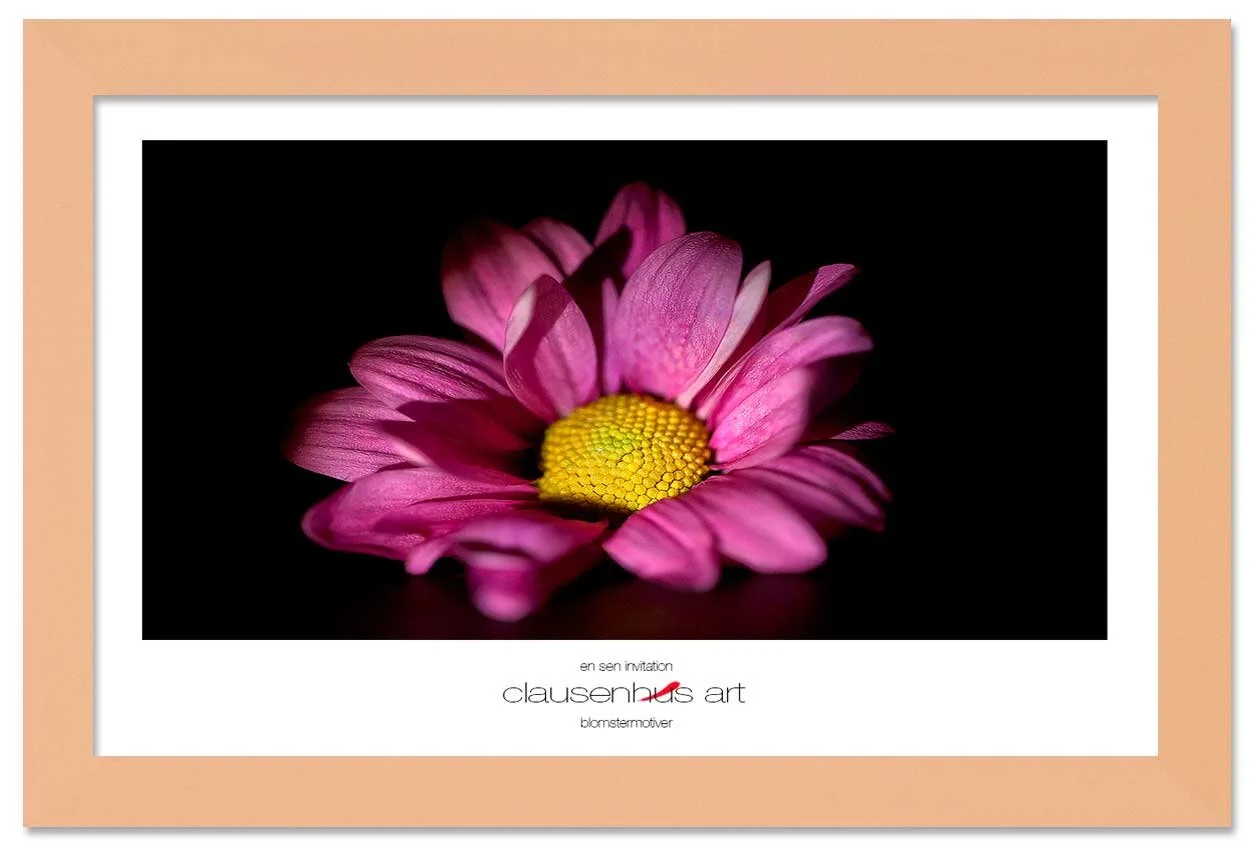 en-sen-invitation-copy.jpg