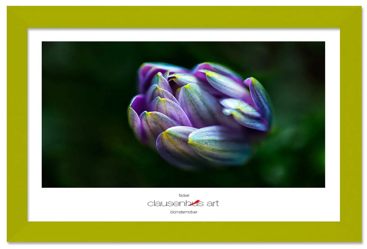 fødsel-copy.jpg