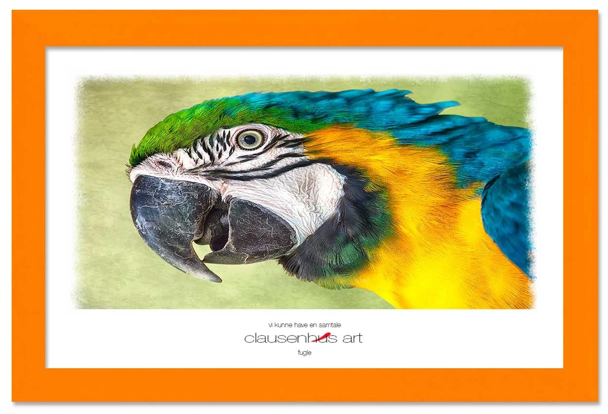 vi-kunne-have-en-samtale-copy.jpg