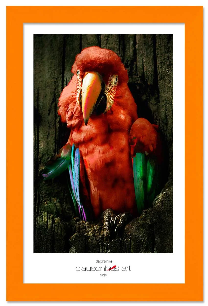 dagdrømme-copy.jpg