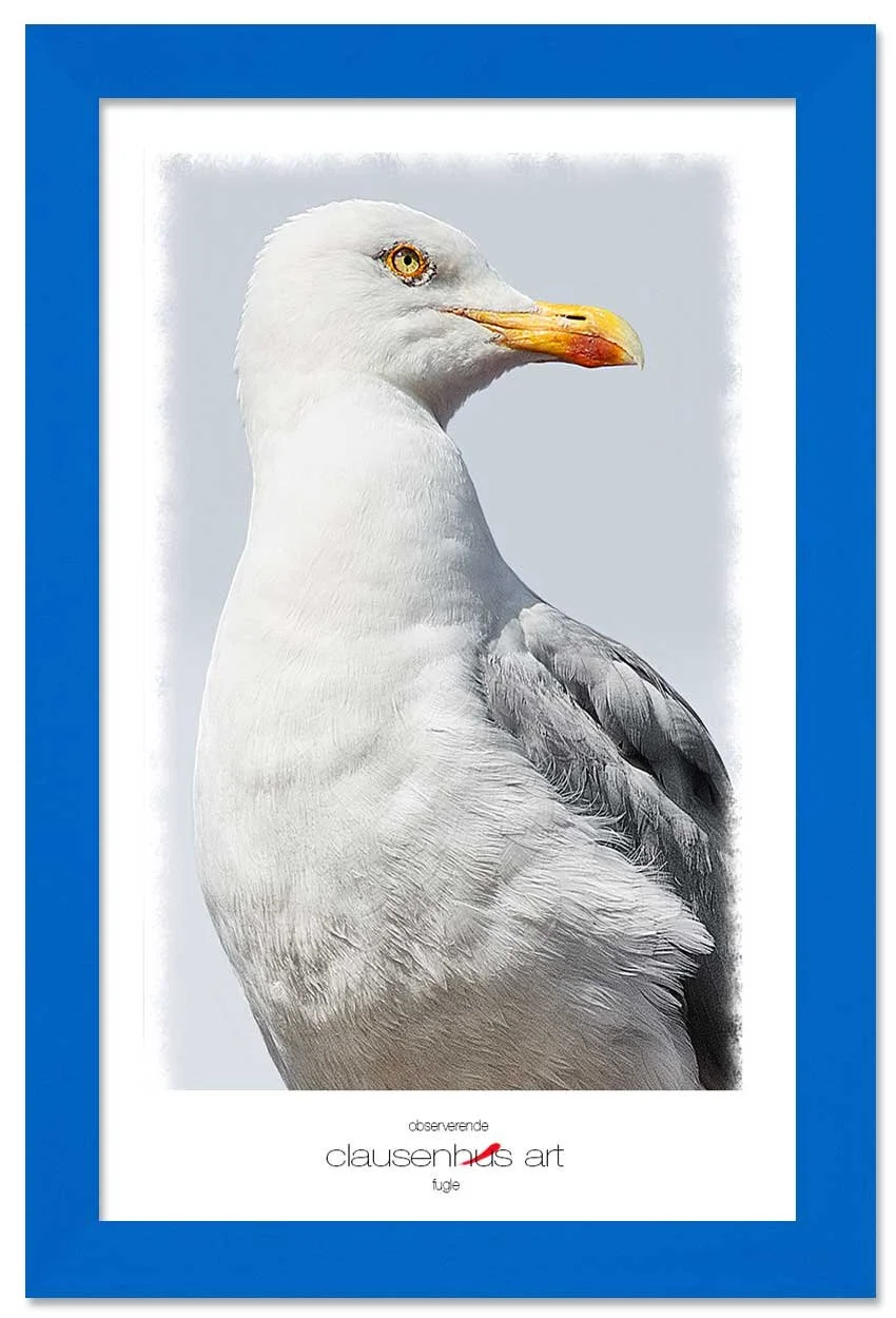 observerende-copy.jpg