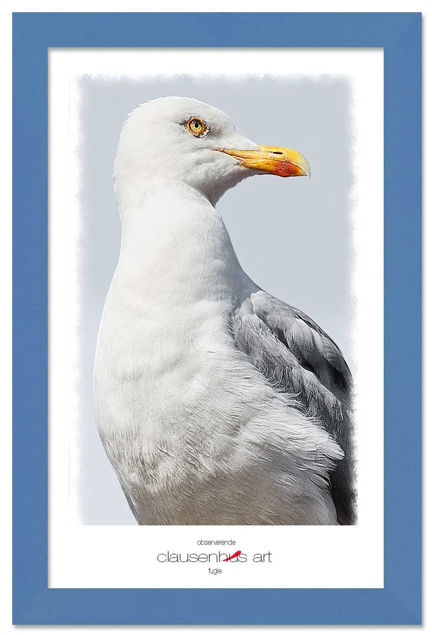 observerende-copy.jpg
