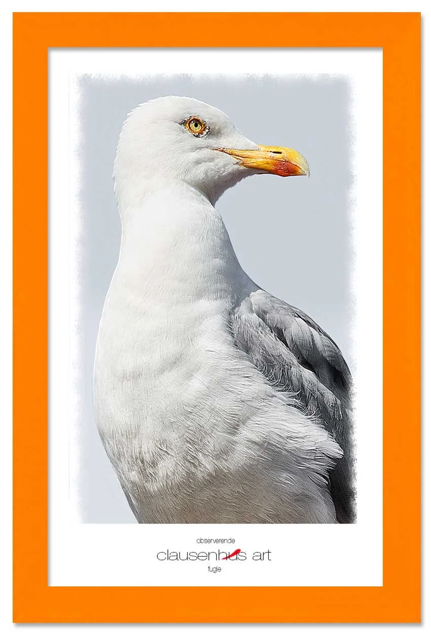 observerende-copy.jpg