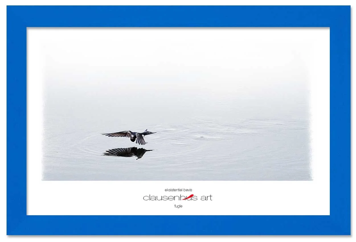 eksistentiel-bevis-copy.jpg