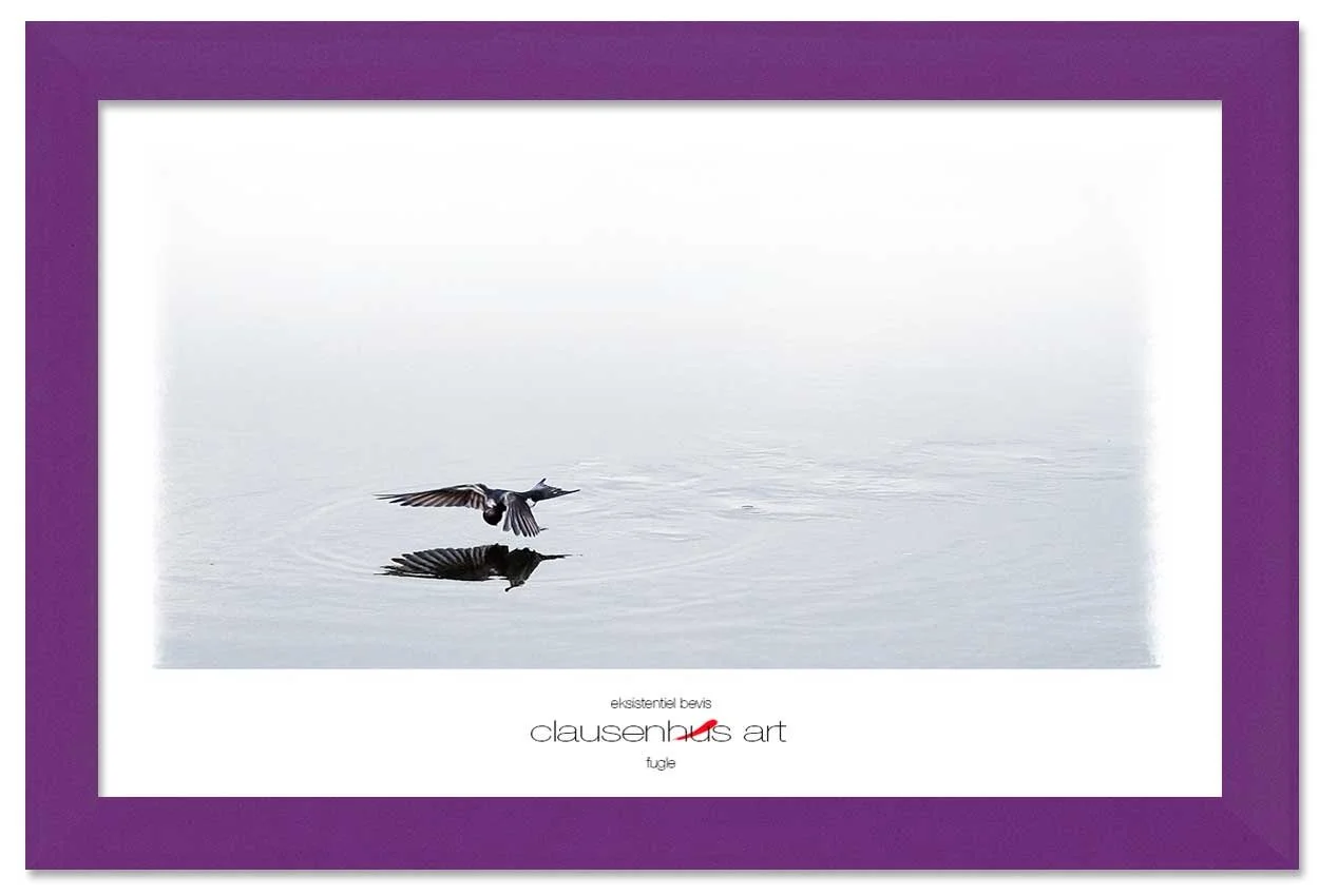 eksistentiel-bevis-copy.jpg