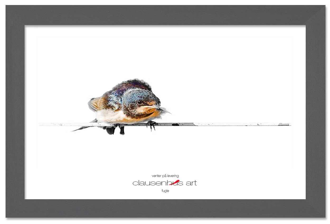 venter-på-levering-copy.jpg