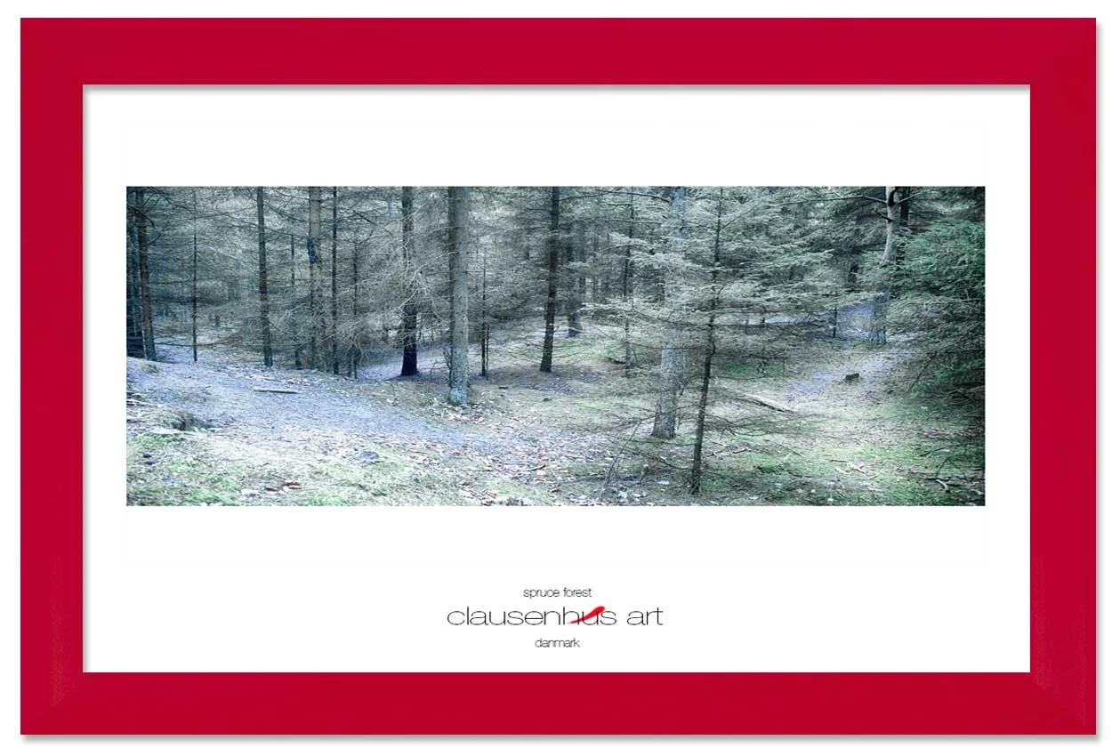 spruce-forest-copy.jpg