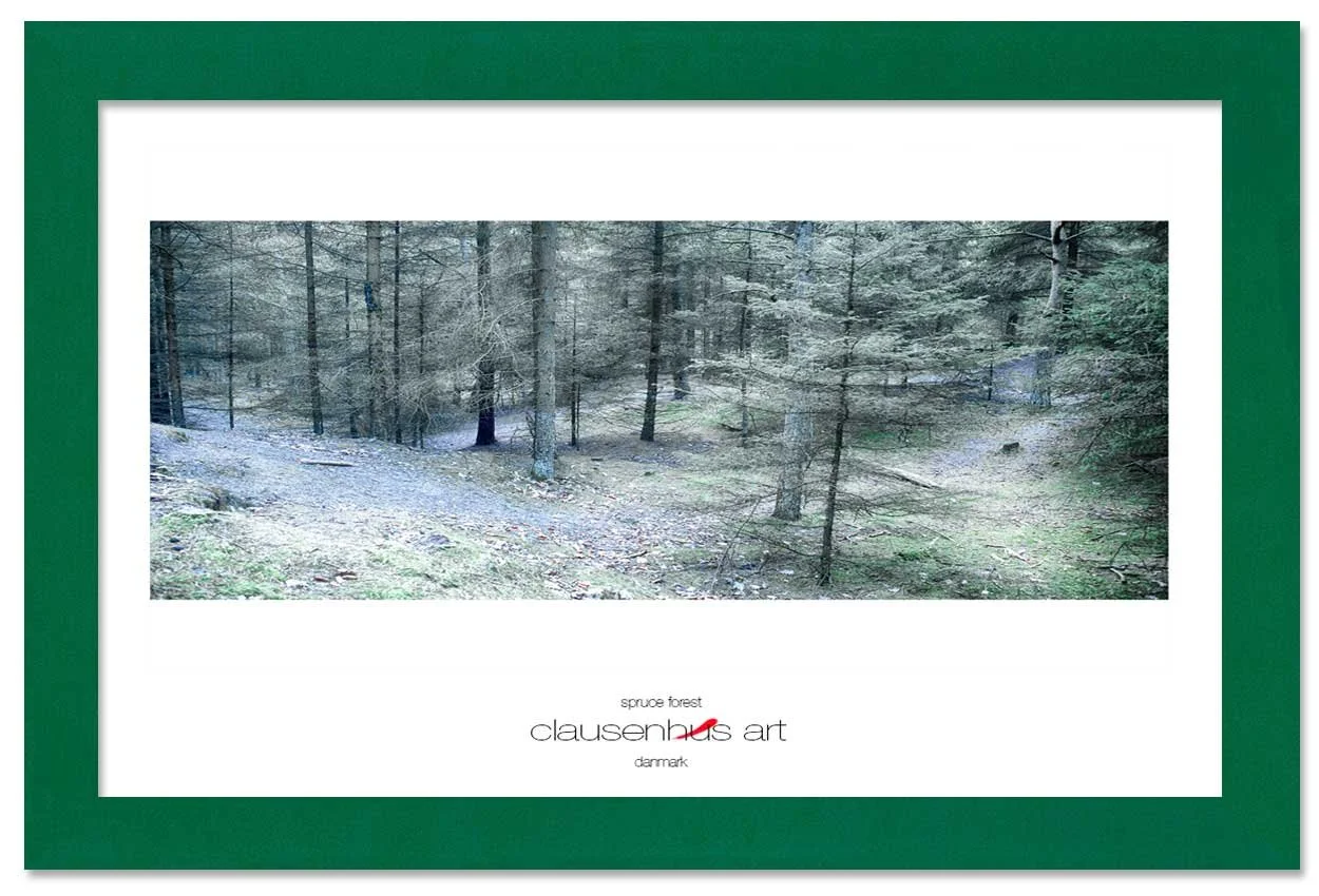 spruce-forest-copy.jpg