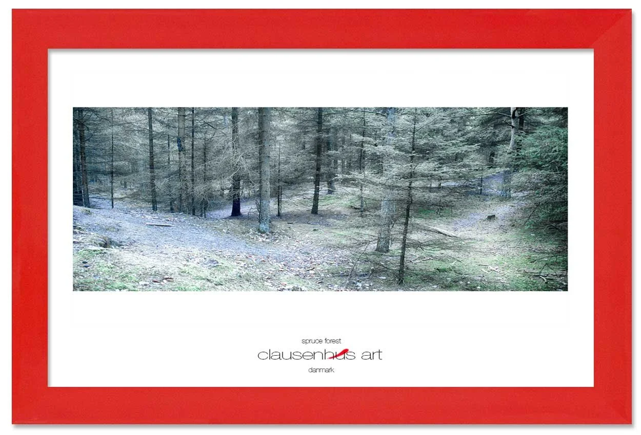 spruce-forest-copy.jpg
