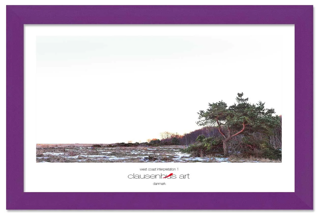 west-coast-interpretation-1-copy.jpg