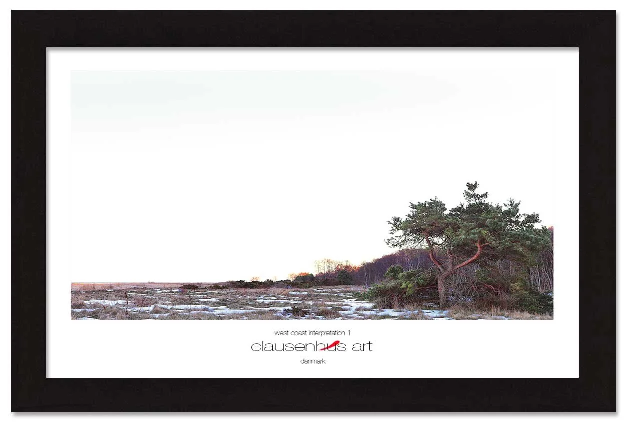 west-coast-interpretation-1-copy.jpg