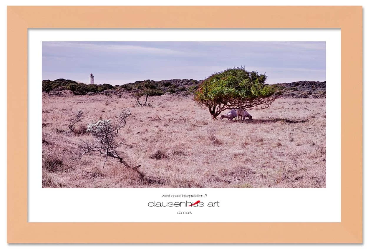west-coast-interpretation-3-copy.jpg