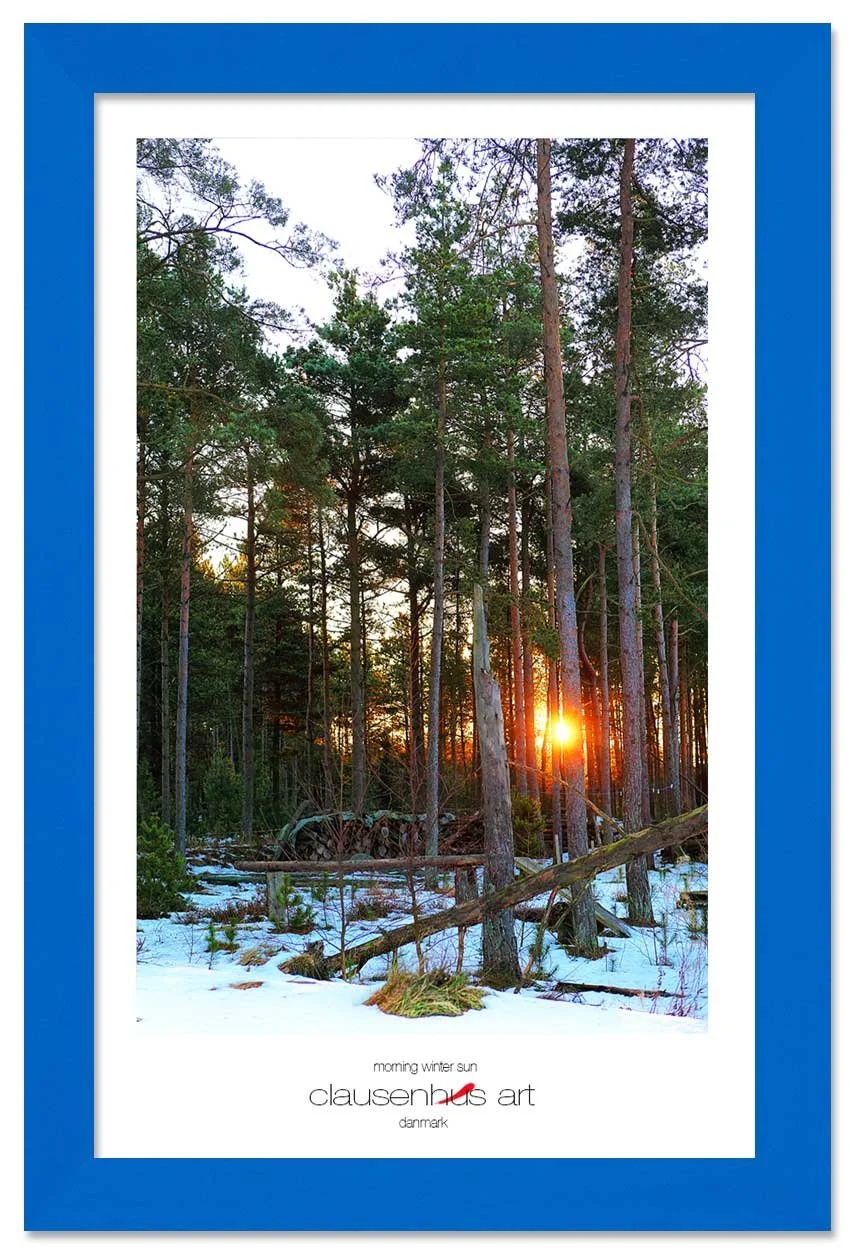morning-winter-sun-copy.jpg