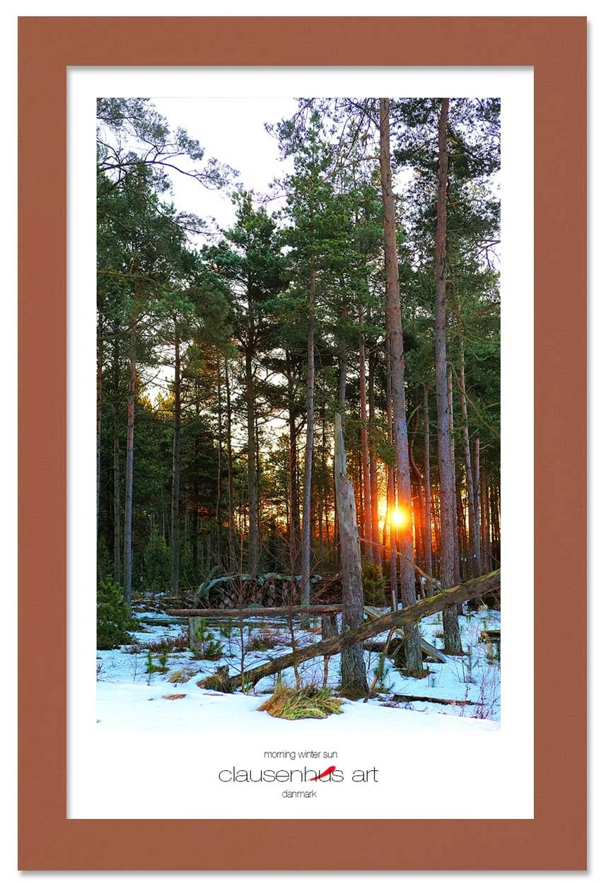 morning-winter-sun-copy.jpg