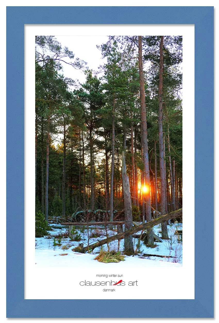 morning-winter-sun-copy.jpg
