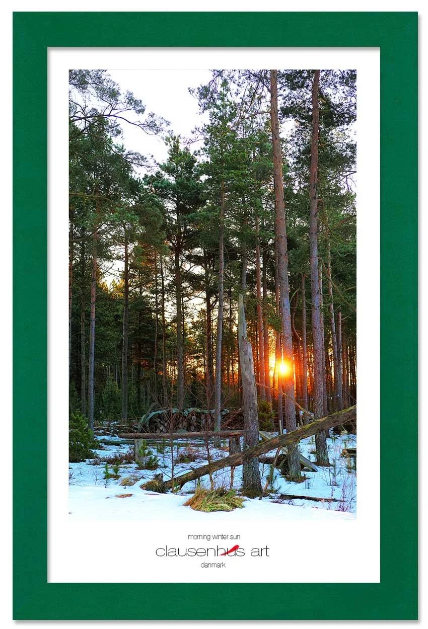 morning-winter-sun-copy.jpg