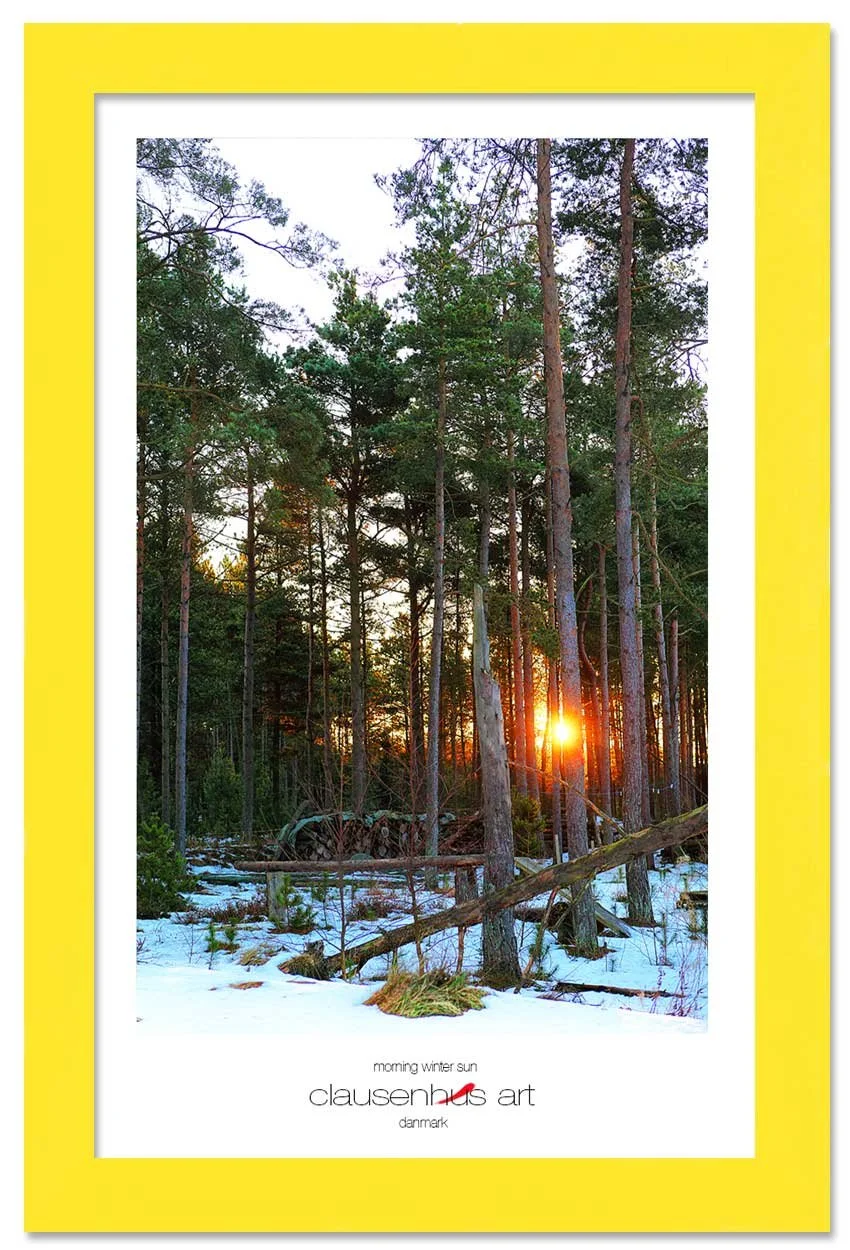 morning-winter-sun-copy.jpg