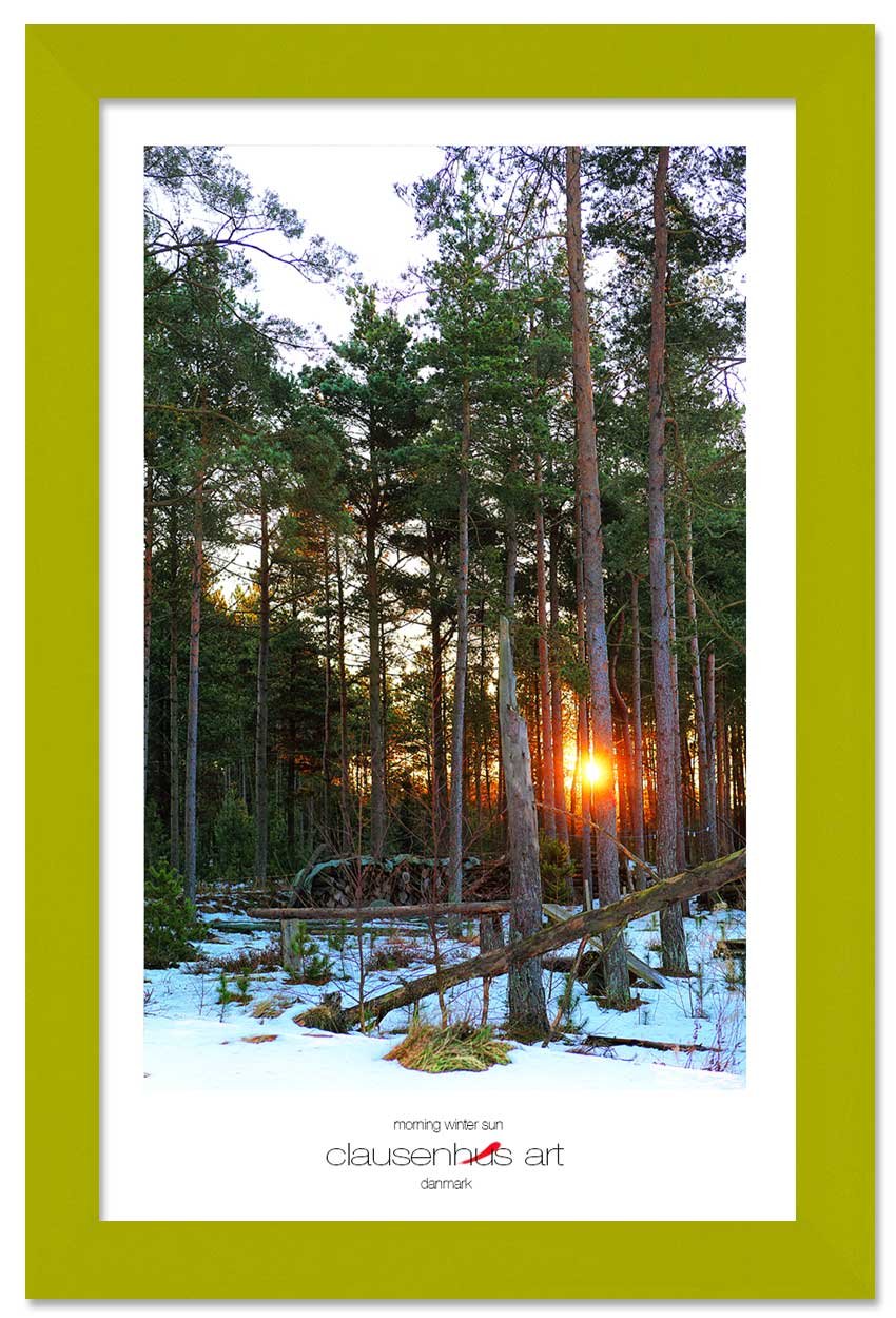 morning-winter-sun-copy.jpg