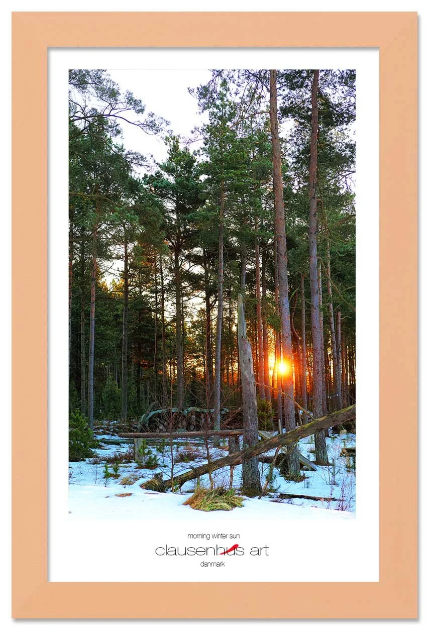 morning-winter-sun-copy.jpg