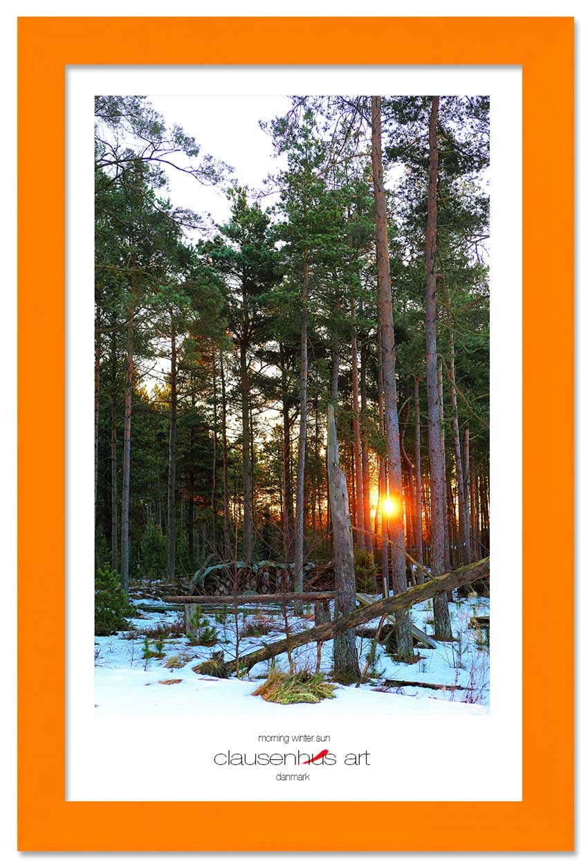 morning-winter-sun-copy.jpg