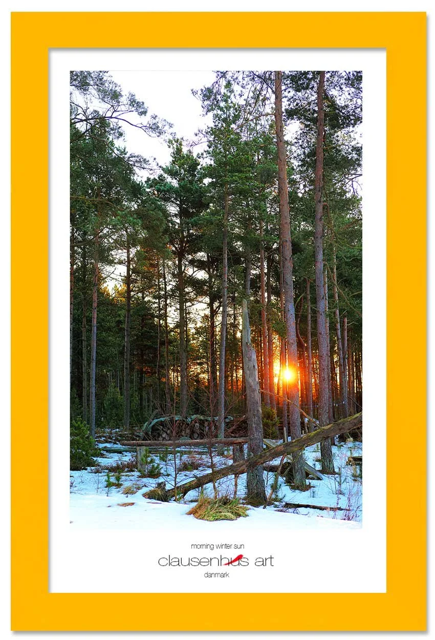 morning-winter-sun-copy.jpg