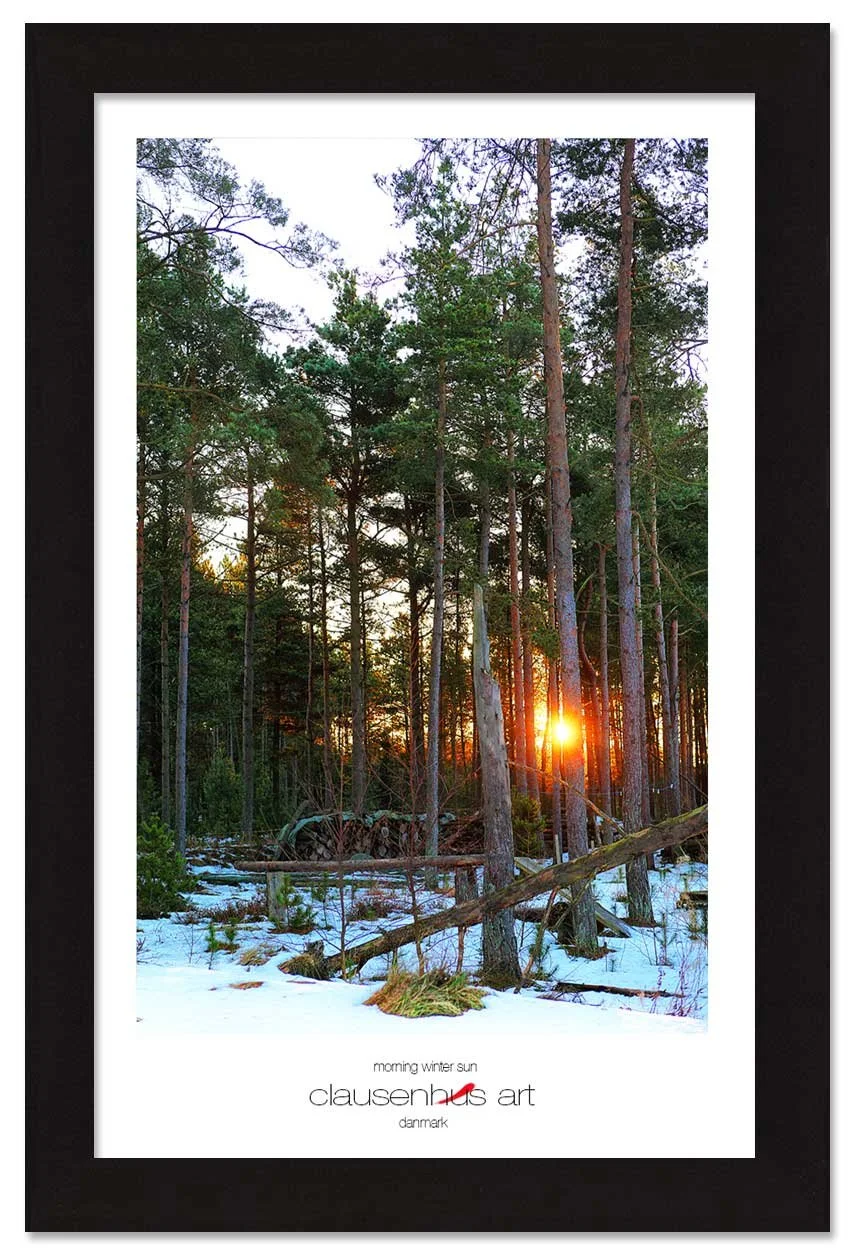 morning-winter-sun-copy.jpg