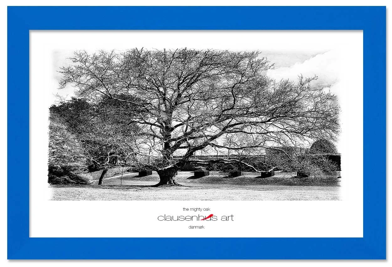 the-mighty-oak-copy.jpg