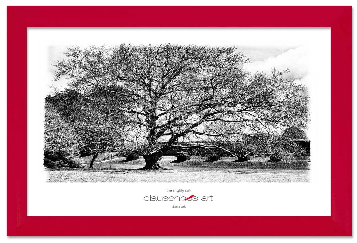 the-mighty-oak-copy.jpg