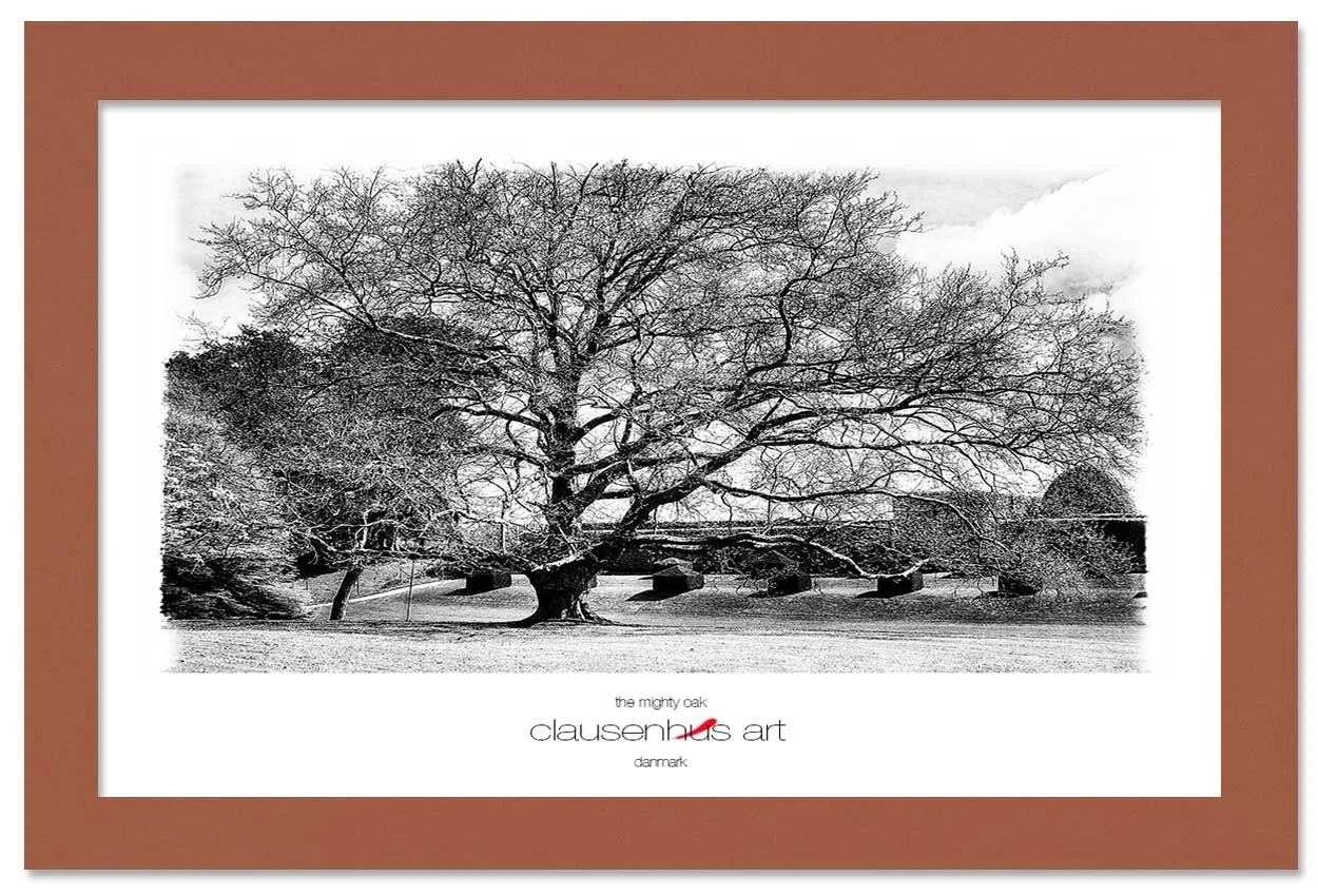 the-mighty-oak-copy.jpg