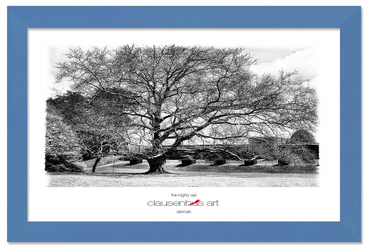 the-mighty-oak-copy.jpg