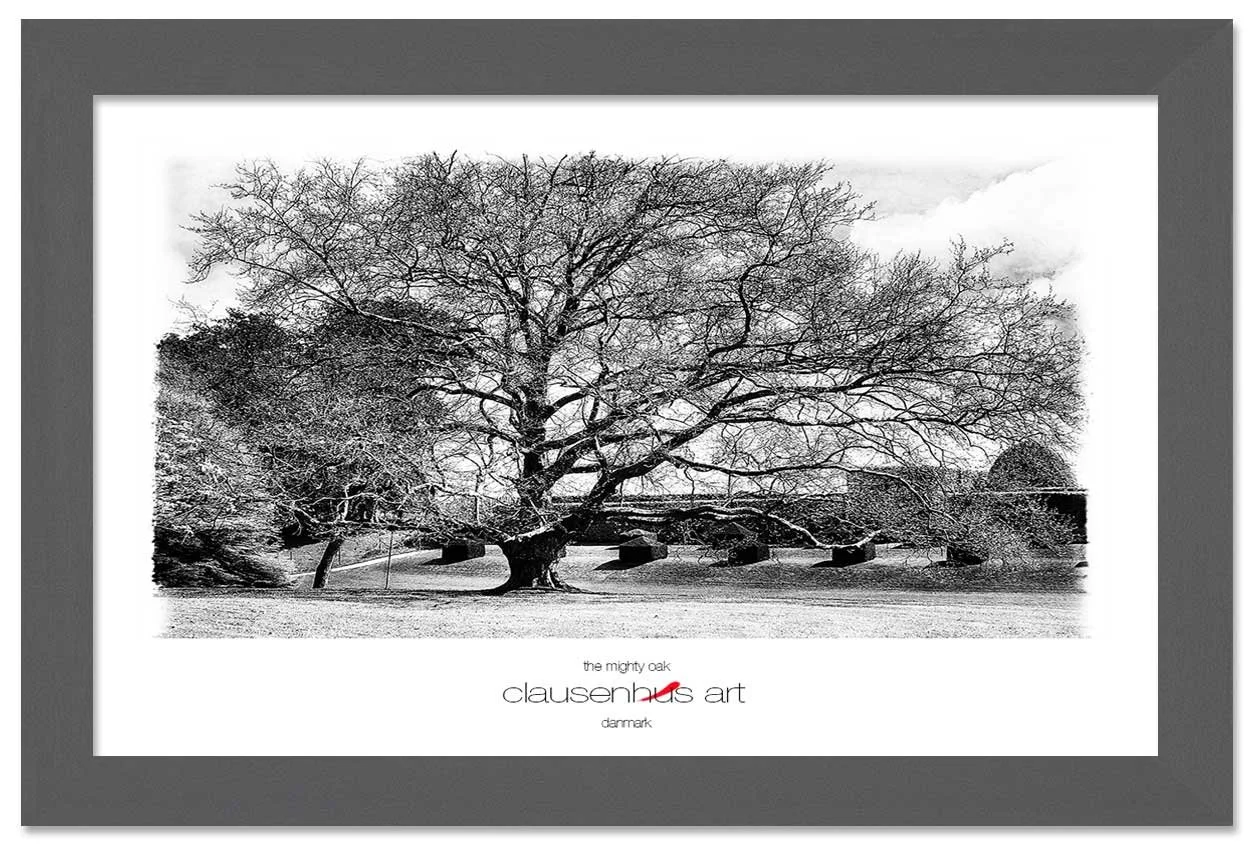 the-mighty-oak-copy.jpg