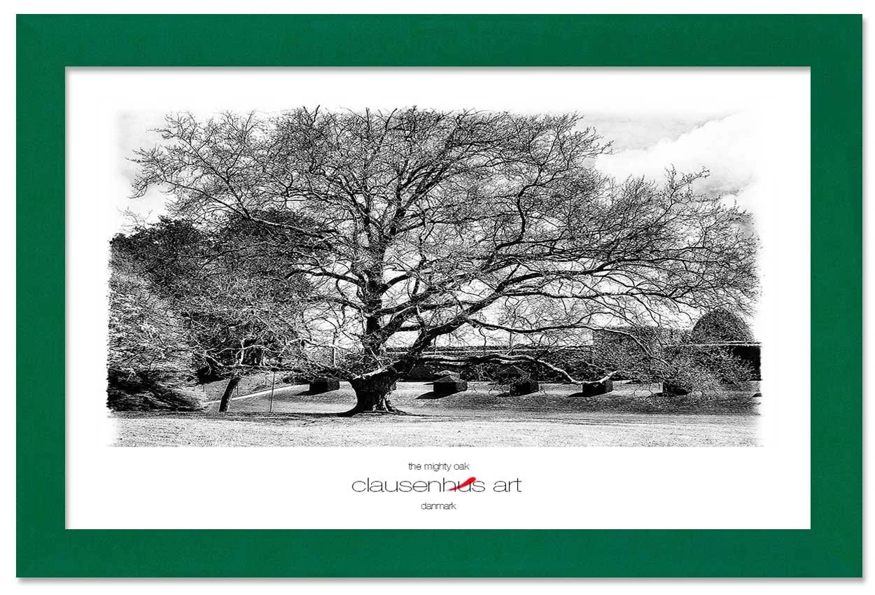 the-mighty-oak-copy.jpg