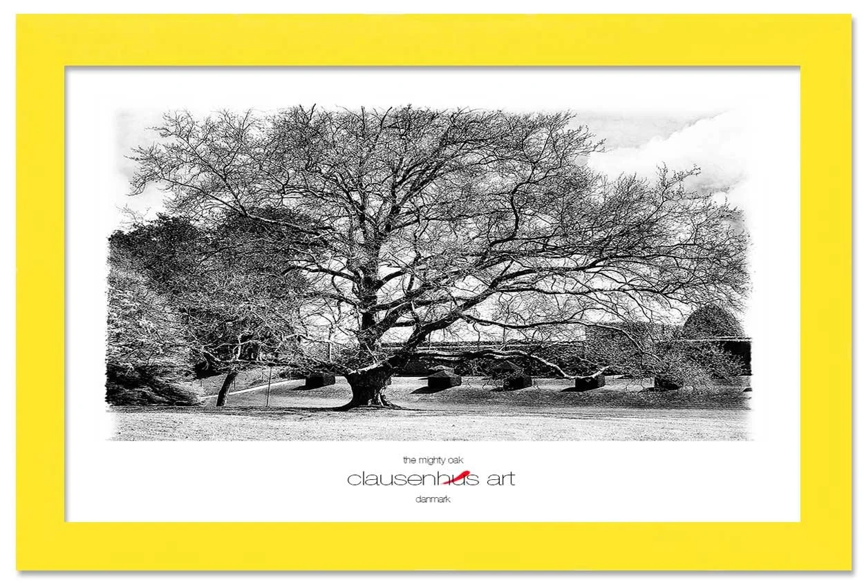 the-mighty-oak-copy.jpg