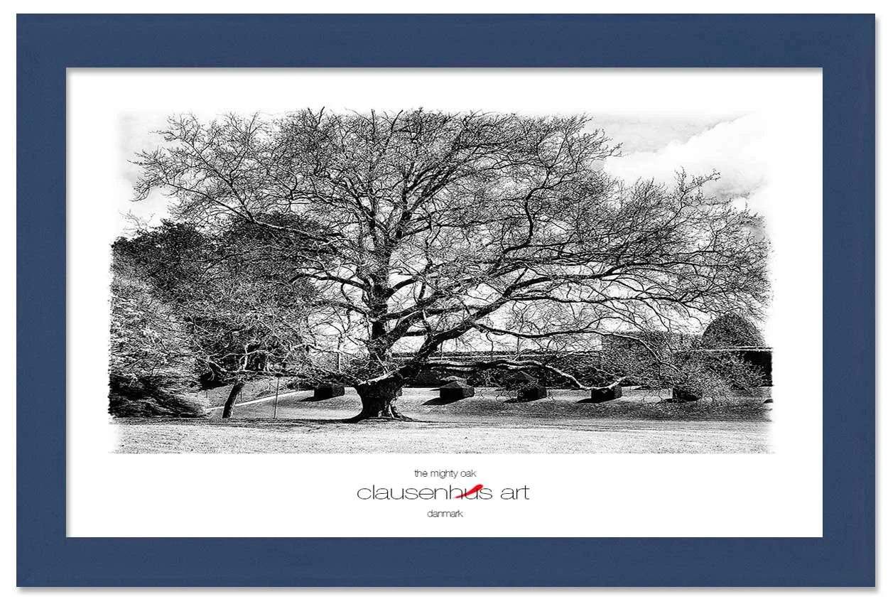 the-mighty-oak-copy.jpg