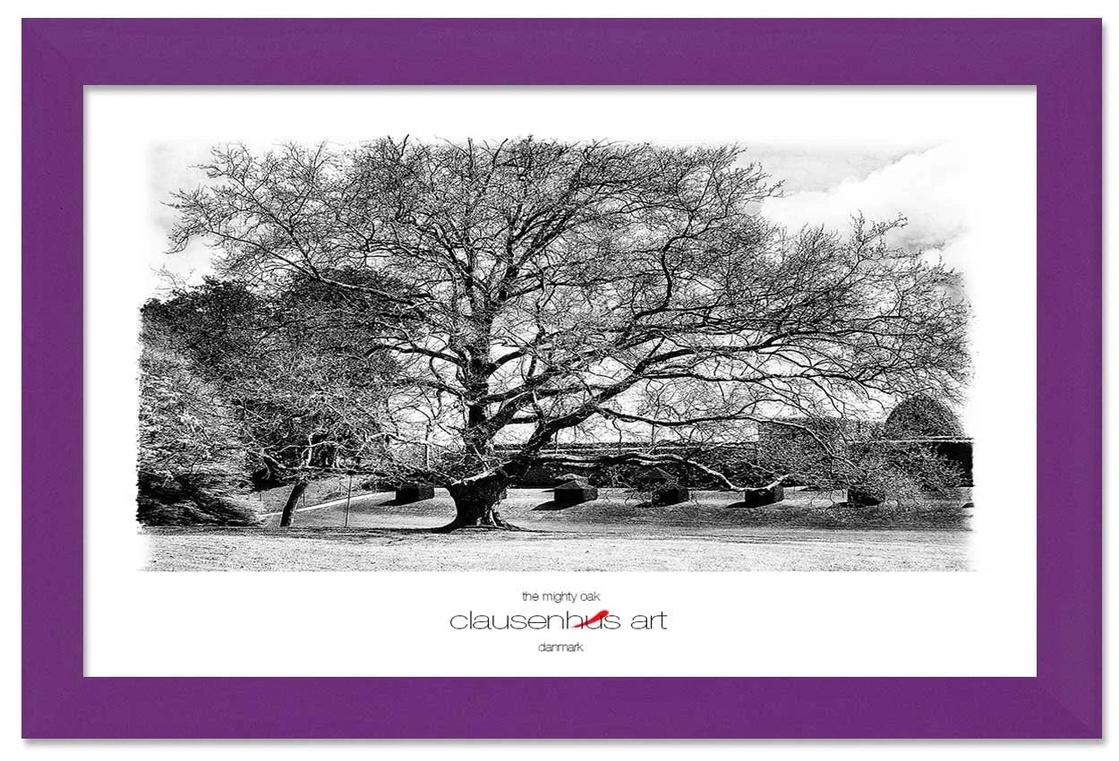 the-mighty-oak-copy.jpg