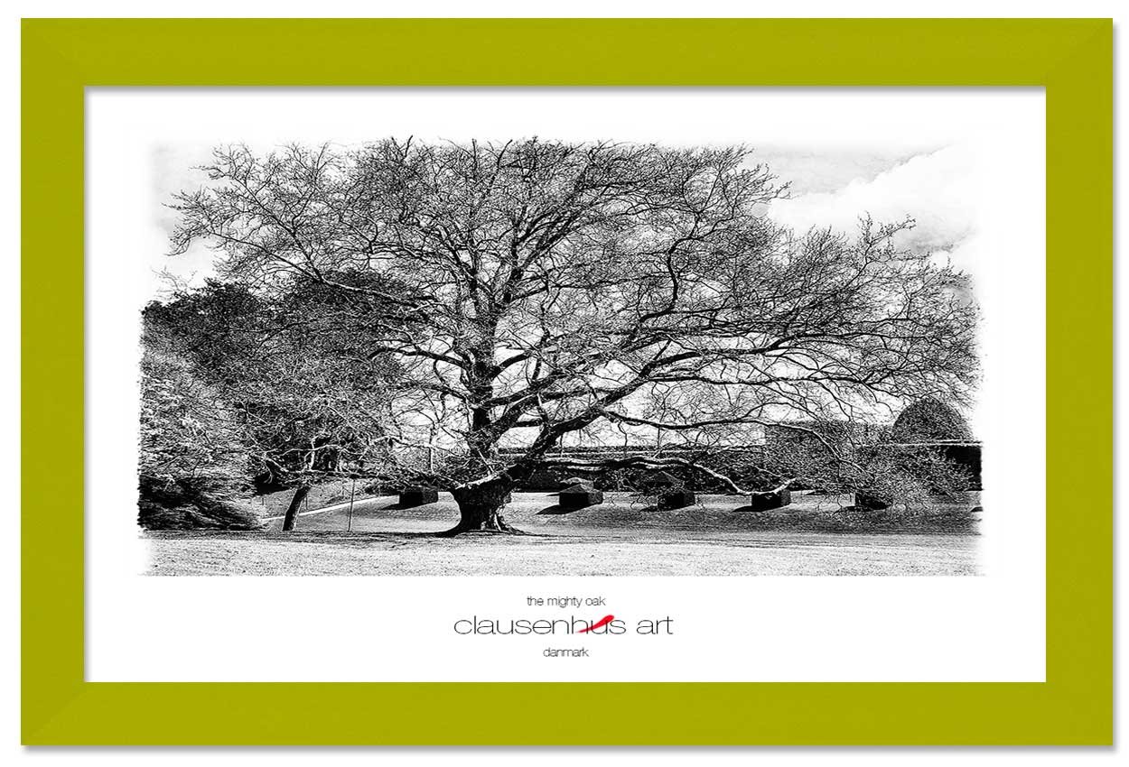the-mighty-oak-copy.jpg