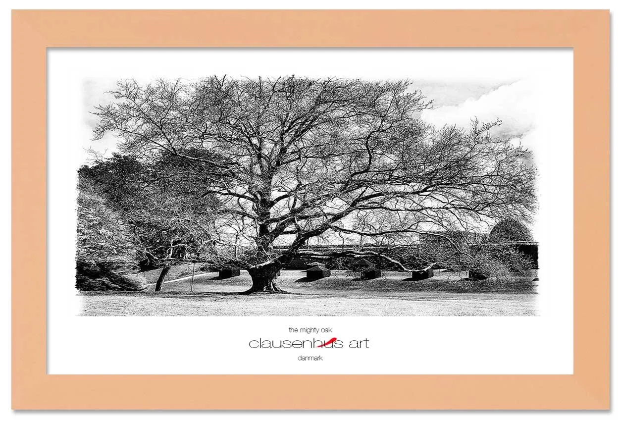 the-mighty-oak-copy.jpg
