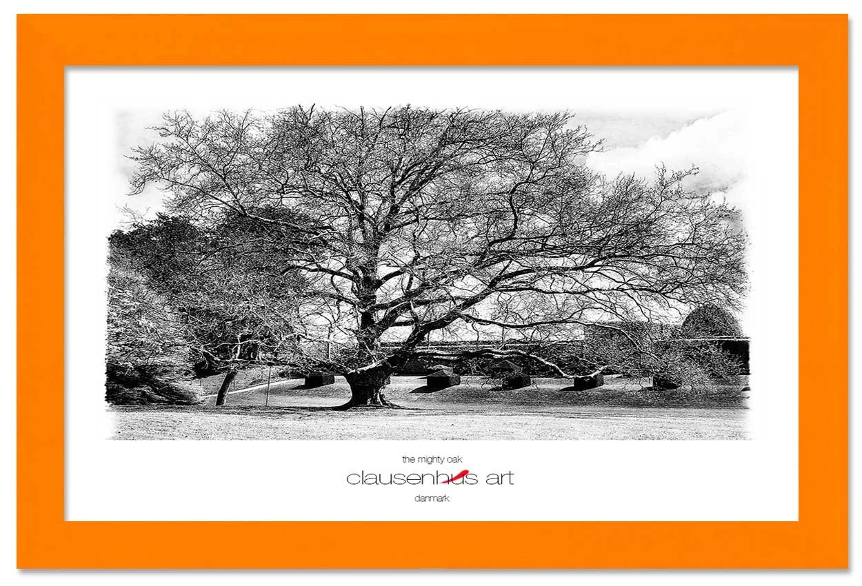 the-mighty-oak-copy.jpg