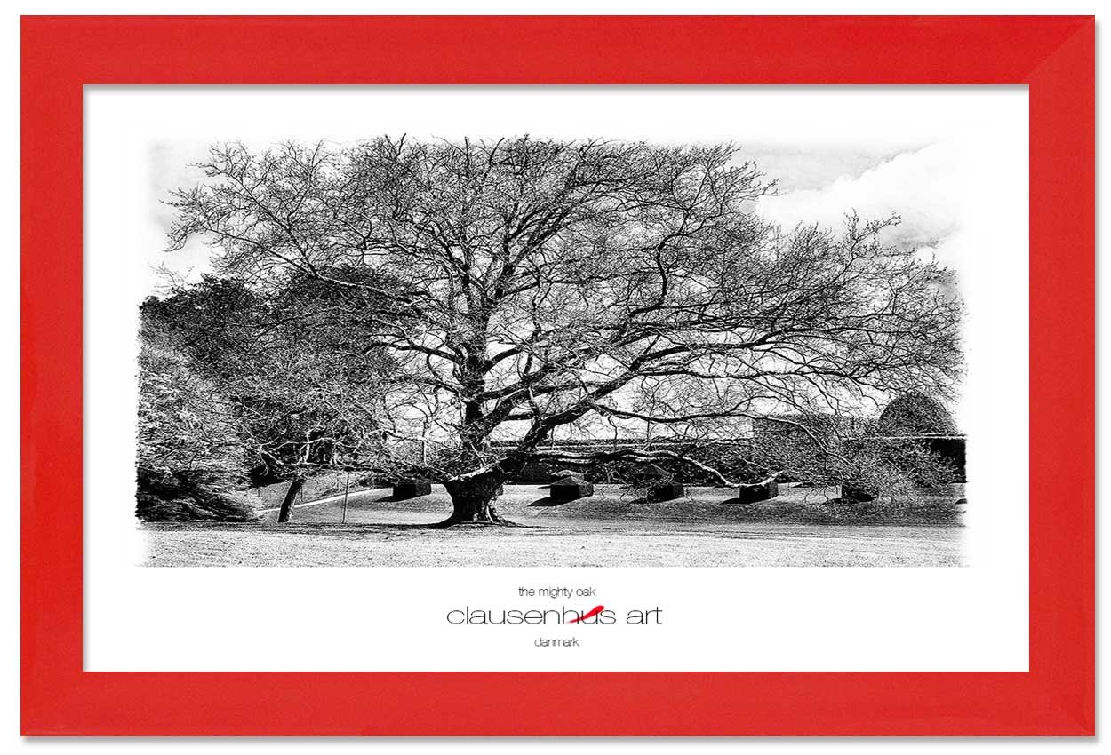 the-mighty-oak-copy.jpg
