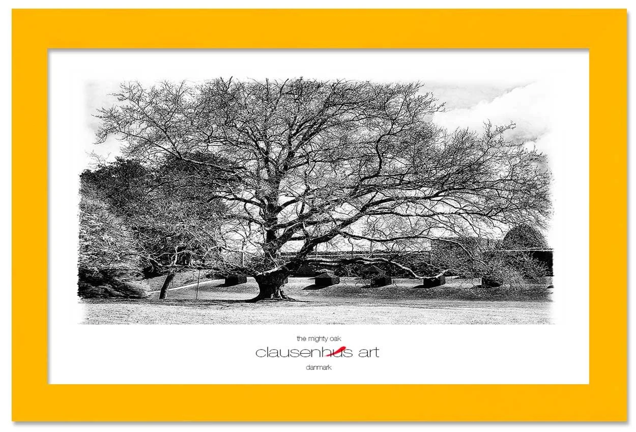 the-mighty-oak-copy.jpg