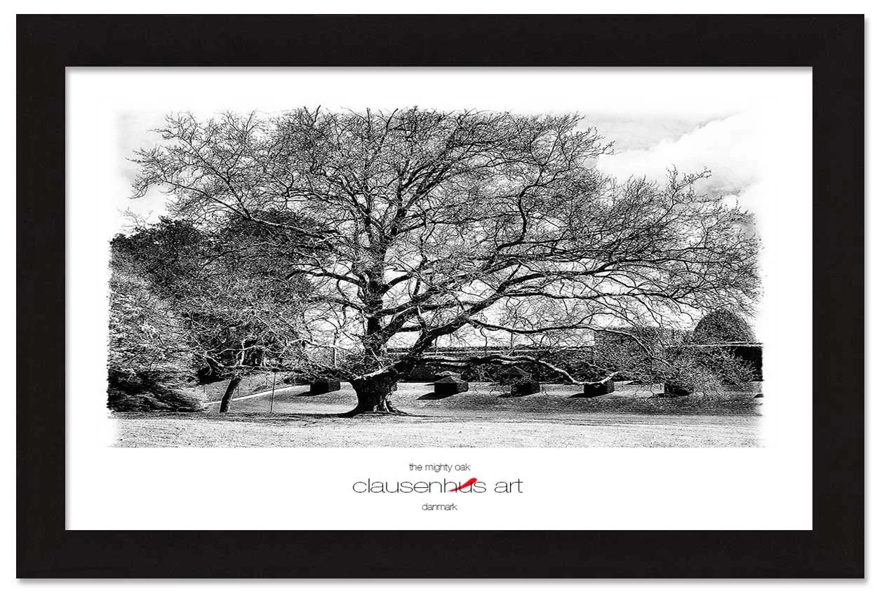 the-mighty-oak-copy.jpg