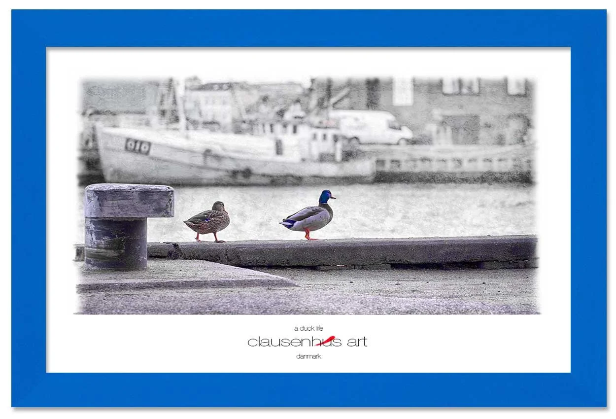 a-duck-life-copy.jpg