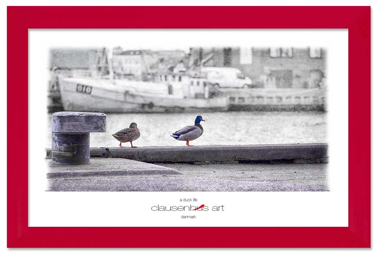 a-duck-life-copy.jpg