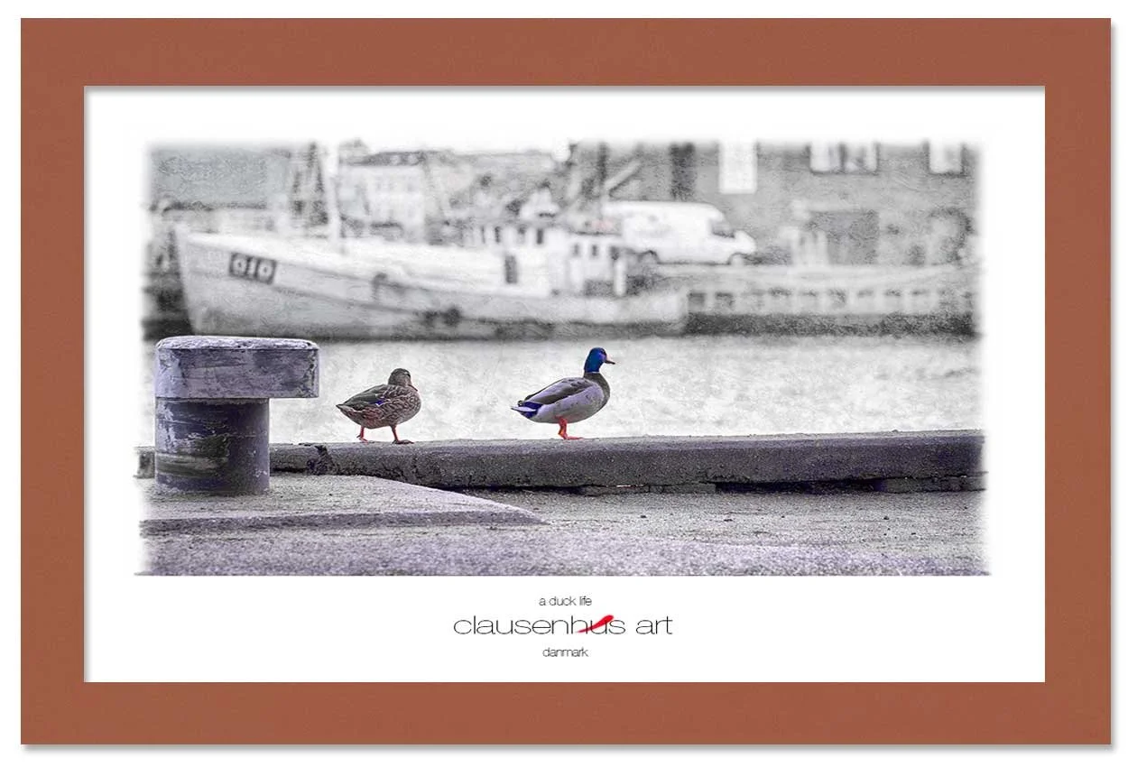 a-duck-life-copy.jpg